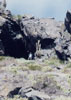 Cuevas de la Cartuja